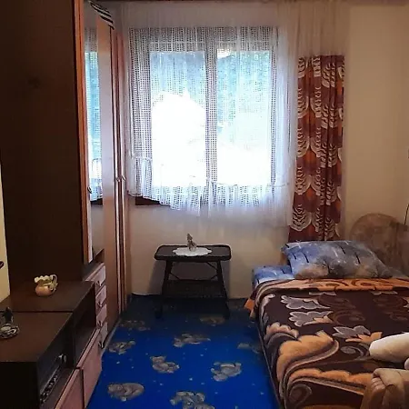 Natha, Udobnost I Mir Foca